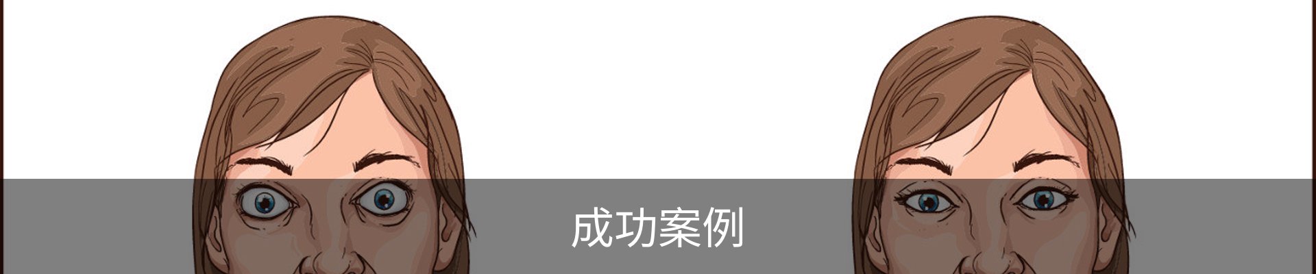 成功案例